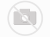 Hunter Bew�sserung
