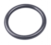 O-Ring 15,54x2,62 f�r AquaContour automatic 1559-29